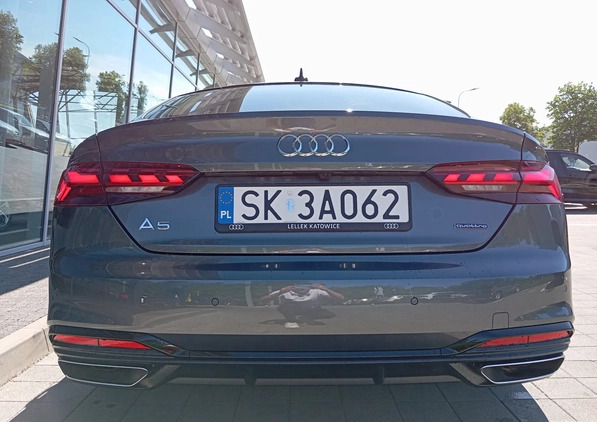 Audi A5 cena 238000 przebieg: 3500, rok produkcji 2024 z Leszno małe 37